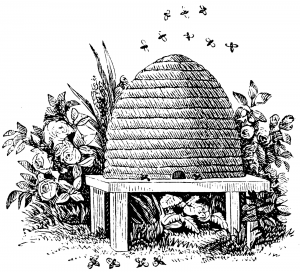 mason beehive